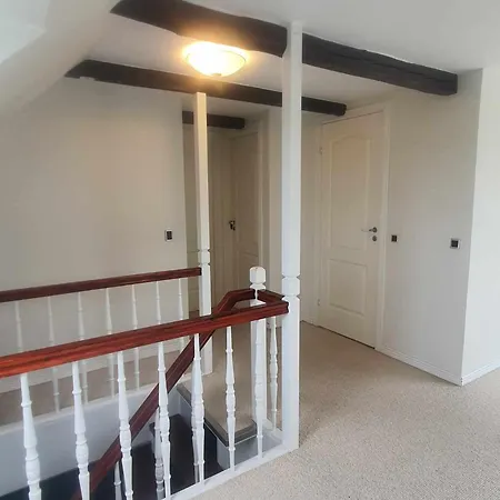 Artemis Zensha Nørre Nebel