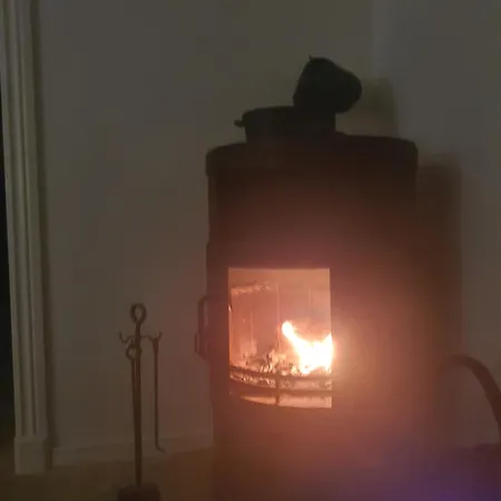 Artemis Zensha Panzió Nørre Nebel