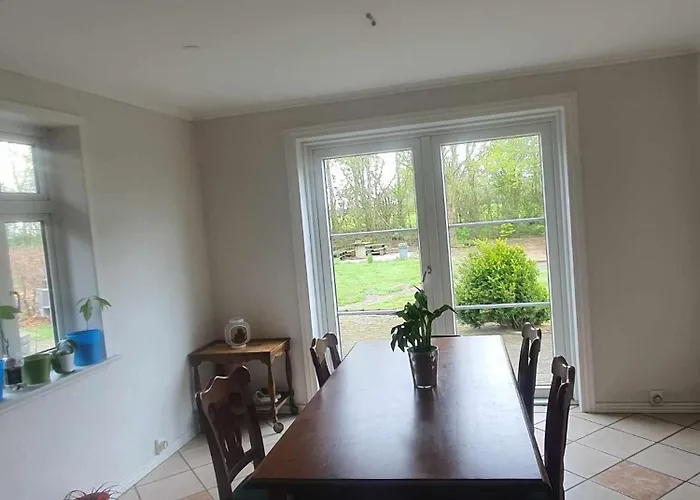 Artemis Zensha Nørre Nebel