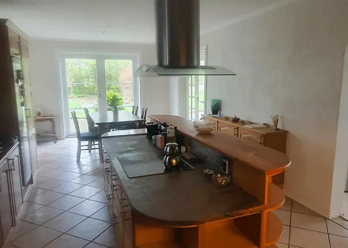 Artemis Zensha Nørre Nebel