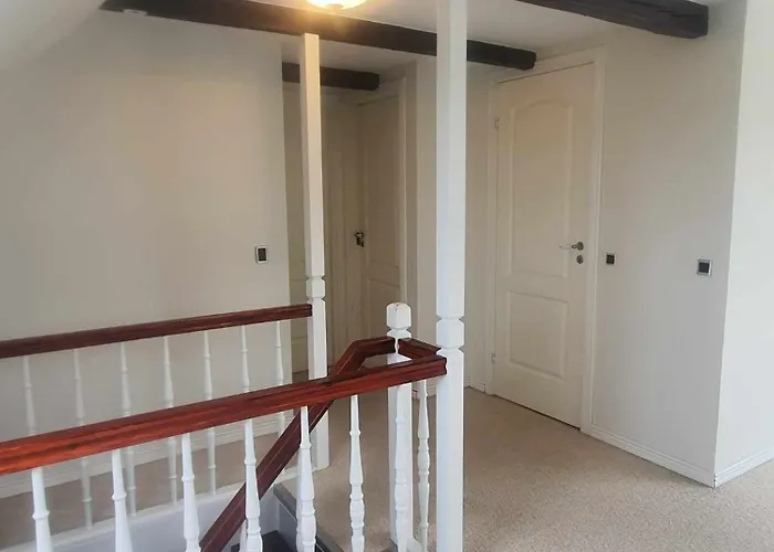 Artemis Zensha Nørre Nebel